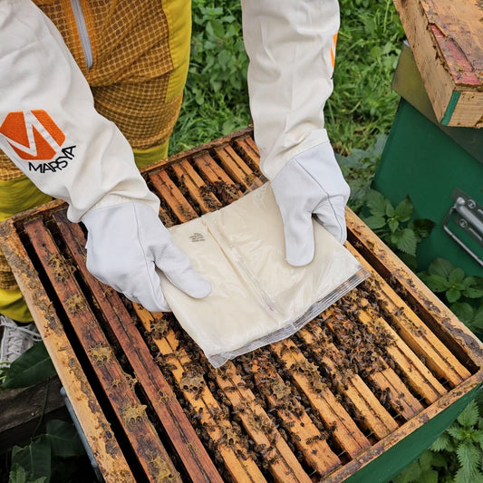 Come gestire gli alveari durante l’anno